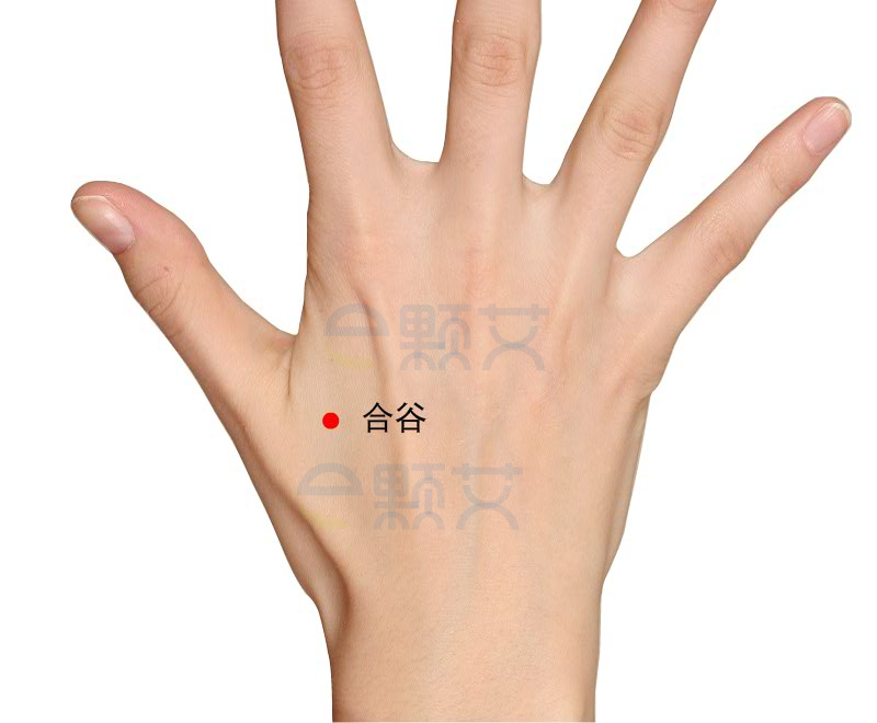 合谷穴位图 艾灸取穴方法 主治病症 应用经验