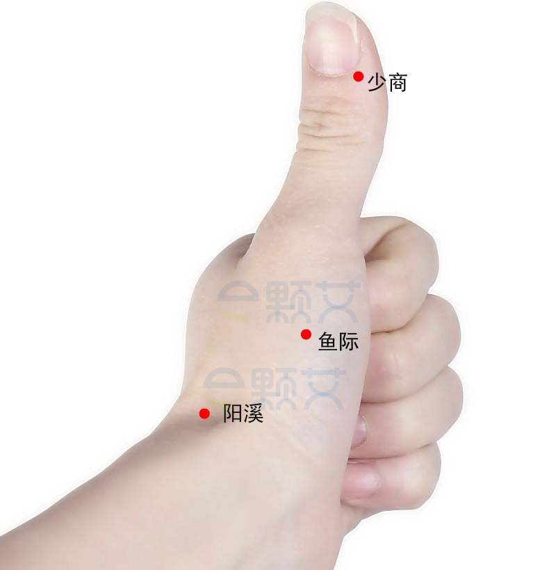 阳溪穴位图 艾灸取穴方法 主治病症 应用经验