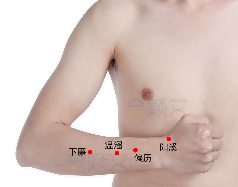 下廉穴位图 艾灸取穴方法 主治病症 应用经验