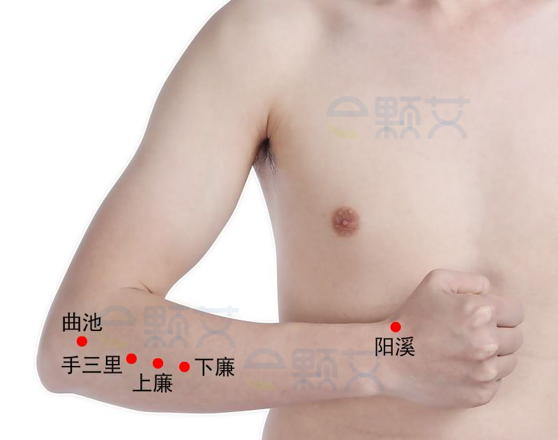 手三里穴位图 艾灸取穴方法 主治病症 应用经验