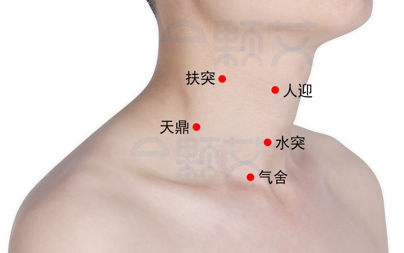 天鼎穴位图 艾灸取穴方法 主治病症 应用经验