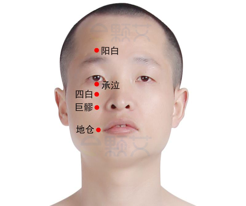 巨髎穴位图 艾灸取穴方法 主治病症 应用经验