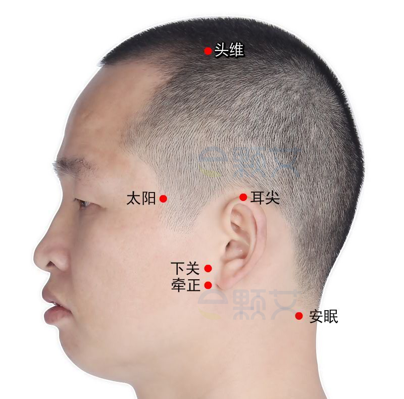 头维穴位图 艾灸取穴方法 主治病症 应用经验