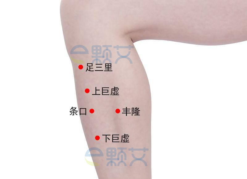 条口穴位图 艾灸取穴方法 主治病症 应用经验