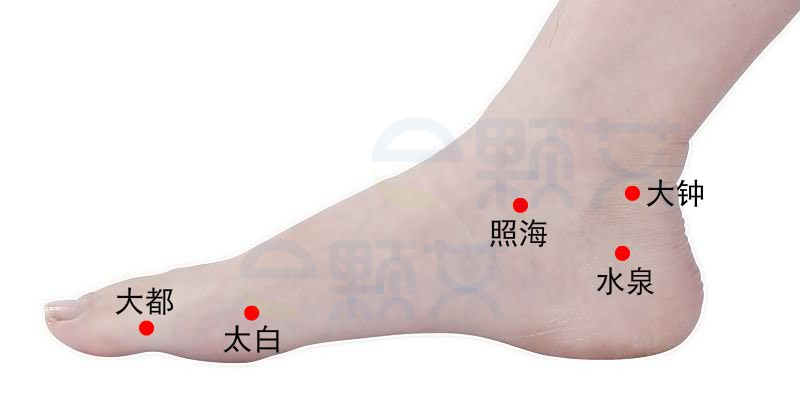 大都穴位图 艾灸取穴方法 主治病症 应用经验