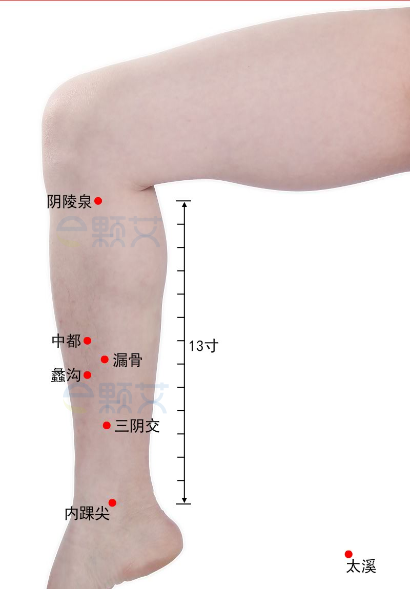 漏谷穴位图 艾灸取穴方法 主治病症 应用经验
