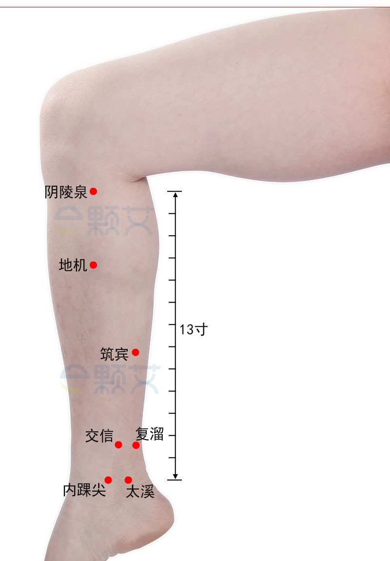 地机穴位图 艾灸取穴方法 主治病症 应用经验