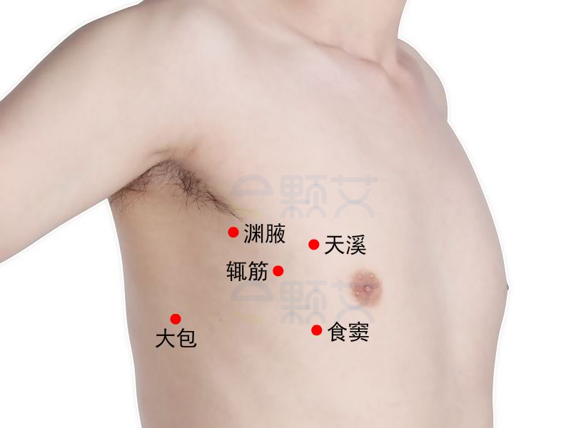 食窦