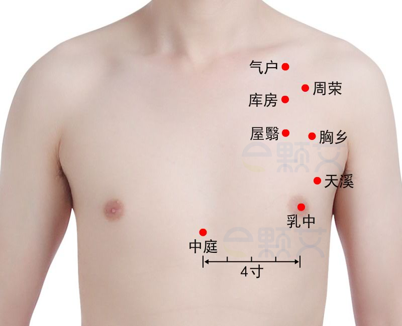 周荣穴位图 艾灸取穴方法 主治病症 应用经验