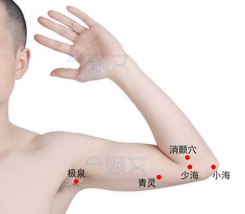 少海穴位图 艾灸取穴方法 主治病症 应用经验