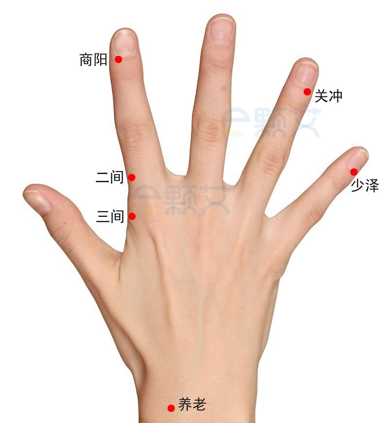 少泽穴位图 艾灸取穴方法 主治病症 应用经验