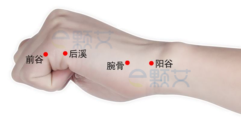 前谷穴位图 艾灸取穴方法 主治病症 应用经验