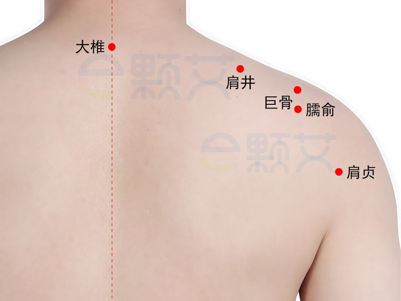 肩贞穴位图 艾灸取穴方法 主治病症 应用经验