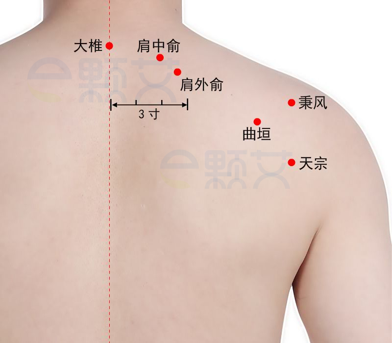 曲垣 穴位图 艾灸取穴方法 主治病症 应用经验