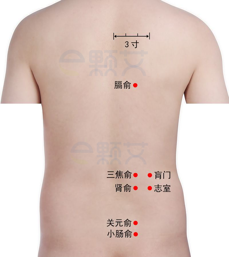 三焦俞穴位图 艾灸取穴方法 主治病症 应用经验