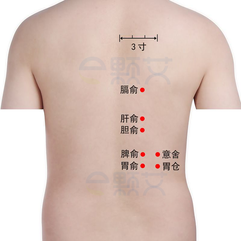 胆俞穴位图 艾灸取穴方法 主治病症 应用经验