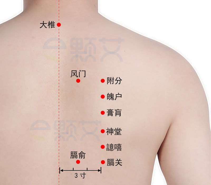 譩譆穴位图 艾灸取穴方法 主治病症 应用经验