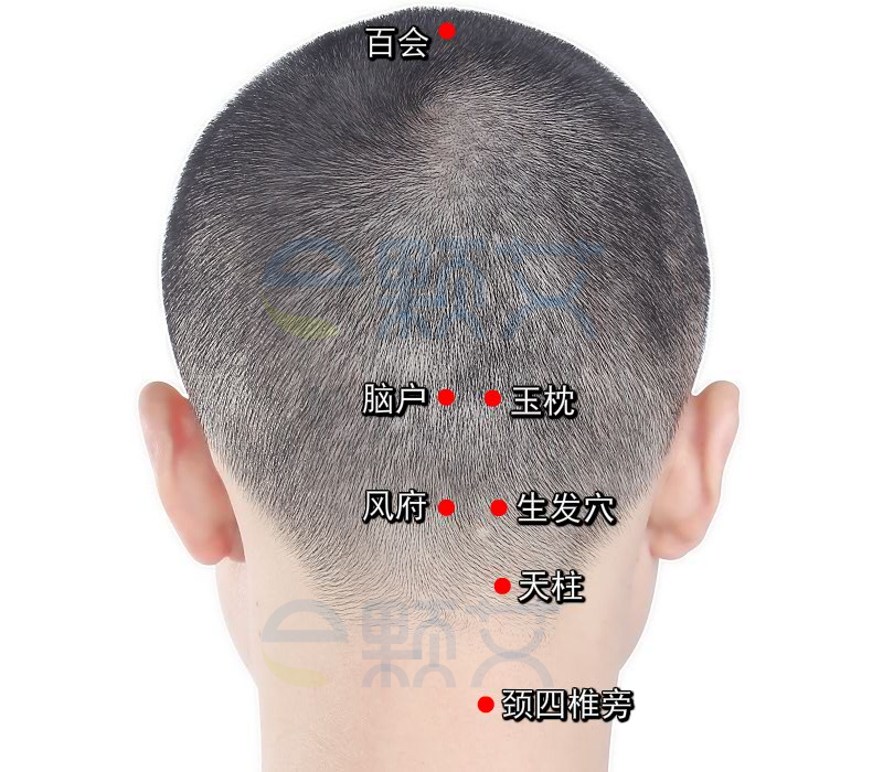 玉枕穴位图 艾灸取穴方法 主治病症 应用经验