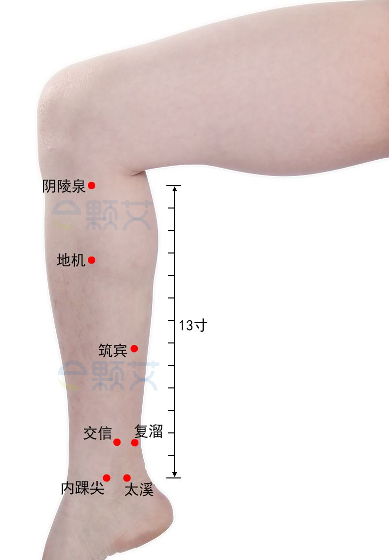 复溜穴位图 艾灸取穴方法 主治病症 应用经验