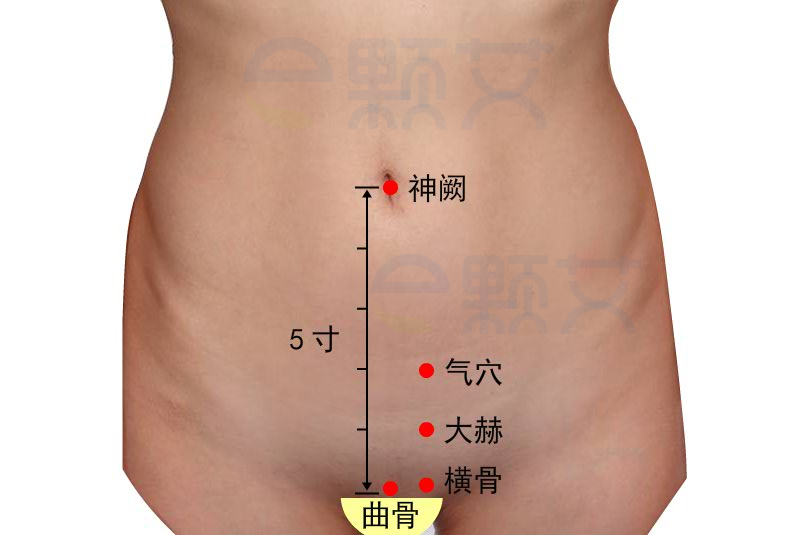 大赫穴位图 艾灸取穴方法 主治病症 应用经验