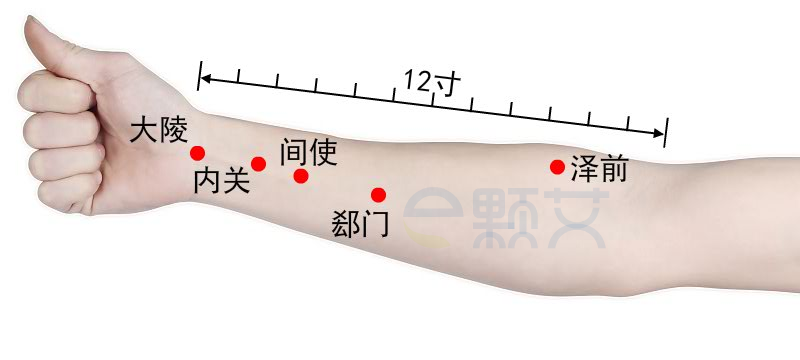 郄门穴位图 艾灸取穴方法 主治病症 应用经验