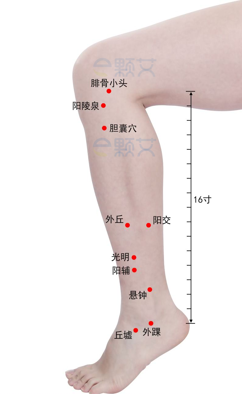 悬钟穴位图 艾灸取穴方法 主治病症 应用经验