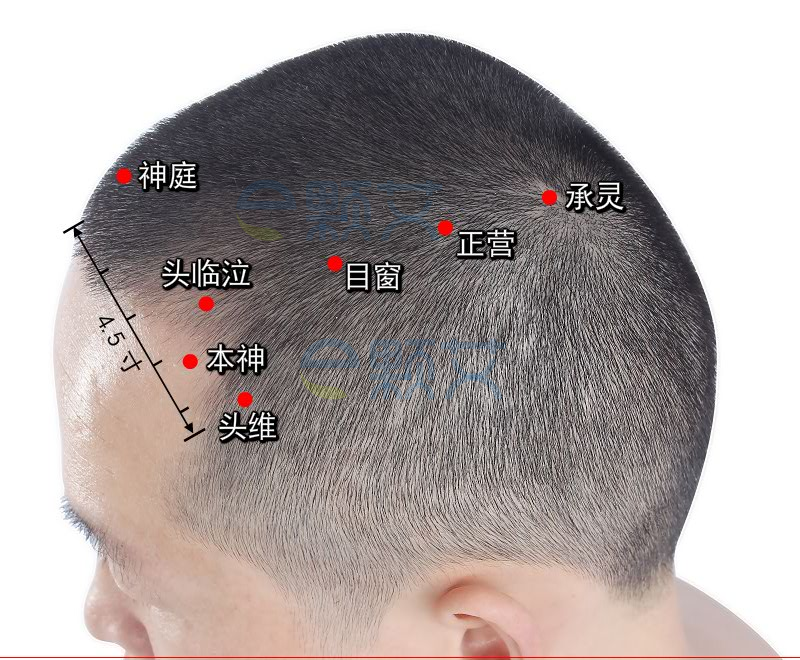 正营穴位图 艾灸取穴方法 主治病症 应用经验