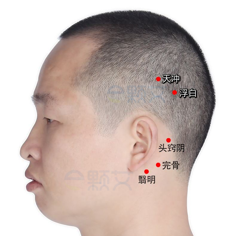 浮白穴位图 艾灸取穴方法 主治病症 应用经验