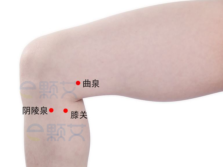 膝关穴位图 艾灸取穴方法 主治病症 应用经验