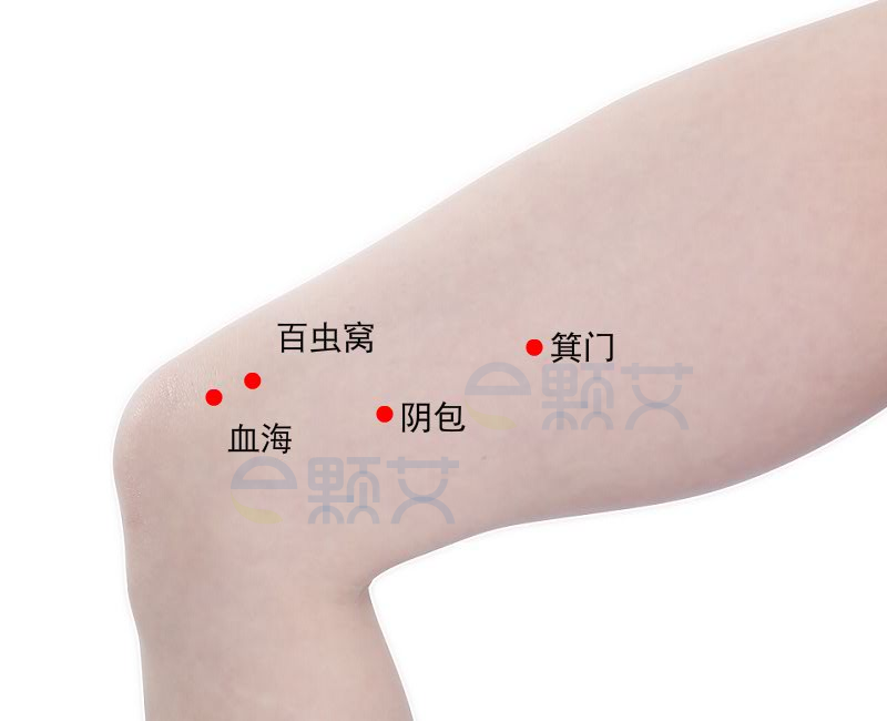 阴包穴位图 艾灸取穴方法 主治病症 应用经验