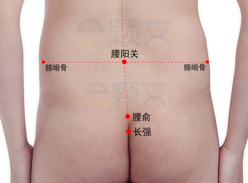 长强穴位图 艾灸取穴方法 主治病症 应用经验