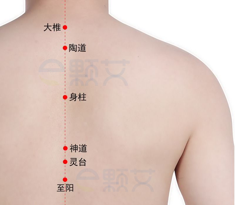 灵台穴位图 艾灸取穴方法 主治病症 应用经验