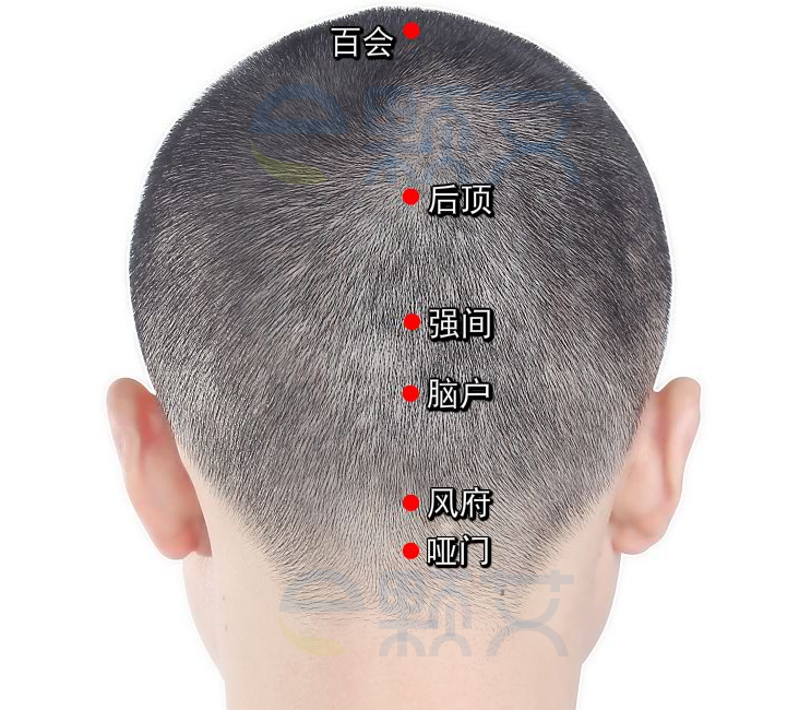 百会穴位图 艾灸取穴方法 主治病症 应用经验