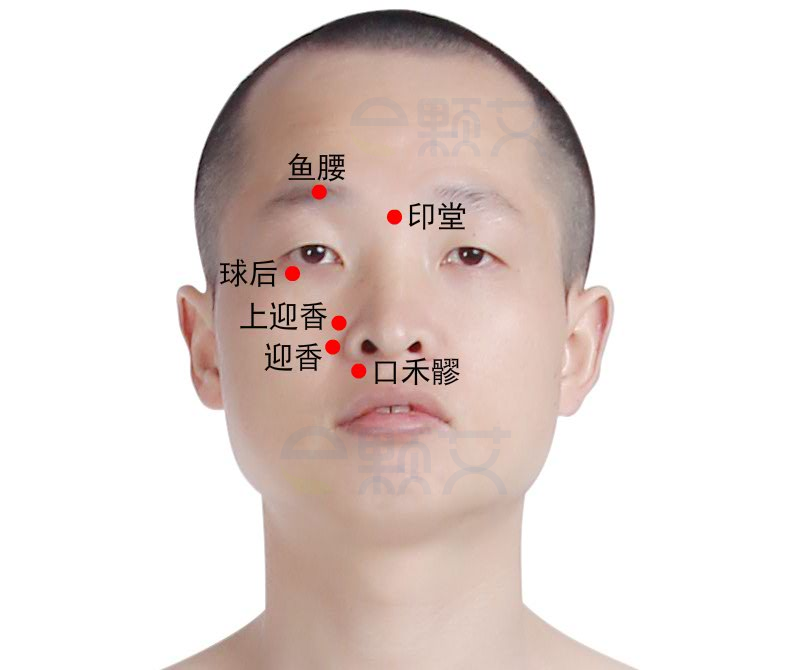 印堂穴位图 艾灸取穴方法 主治病症 应用经验