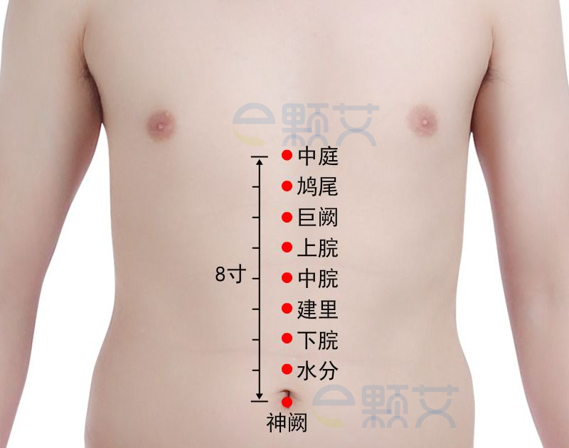 建里穴位图 艾灸取穴方法 主治病症 应用经验