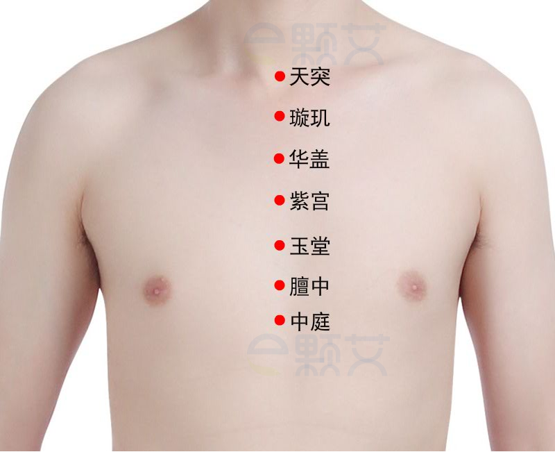 膻中穴位图 艾灸取穴方法 主治病症 应用经验