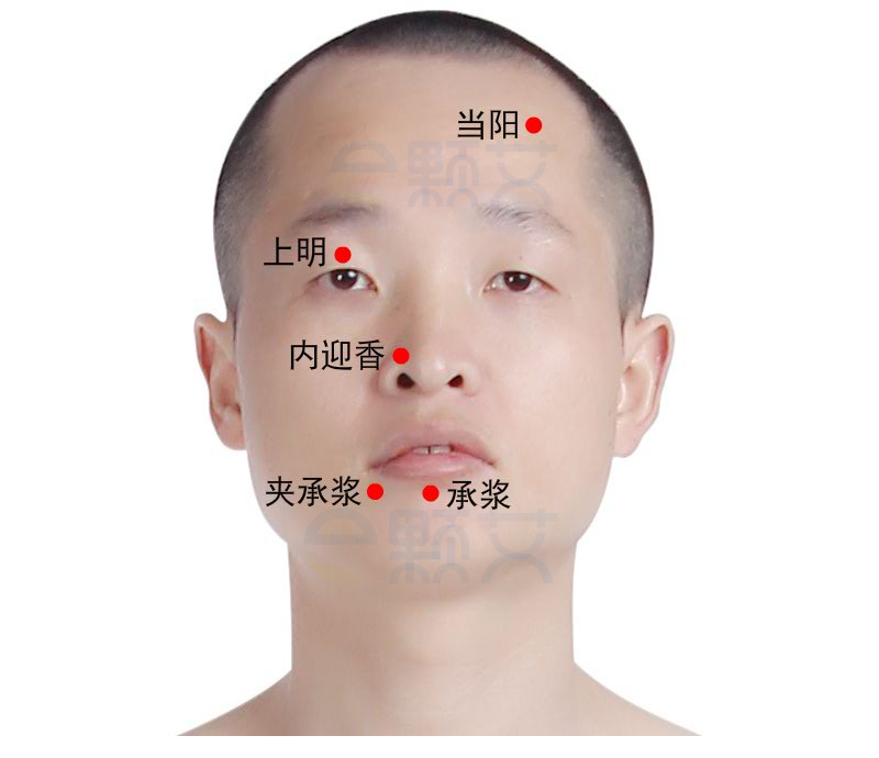 当阳穴位图 艾灸取穴方法 主治病症 应用经验