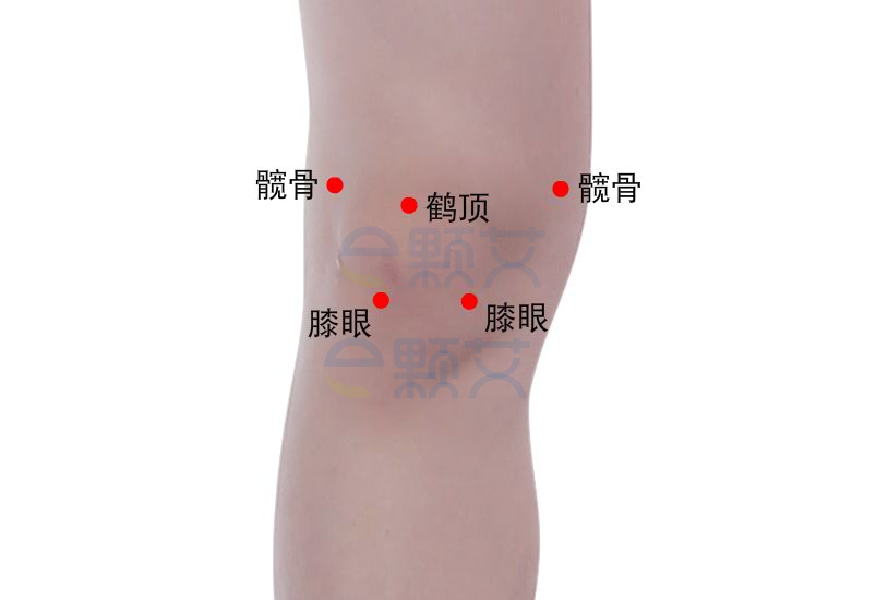 髋骨穴位图 艾灸取穴方法 主治病症 应用经验