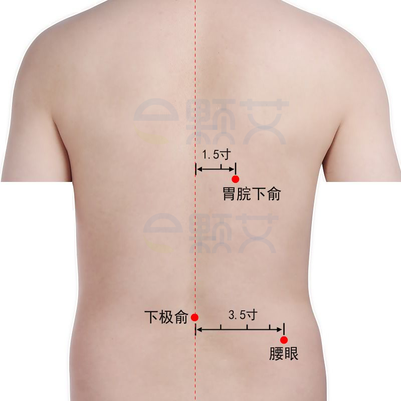 下极俞穴位图 艾灸取穴方法 主治病症 应用经验