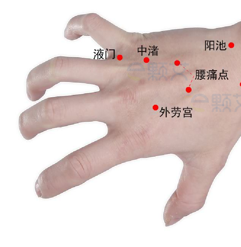 腰痛点穴位图 艾灸取穴方法 主治病症 应用经验